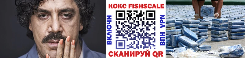 магазин  наркотиков  Покровск  Кокаин Fish Scale 