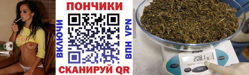 купить   Покровск  Конопля ГИДРОПОН 